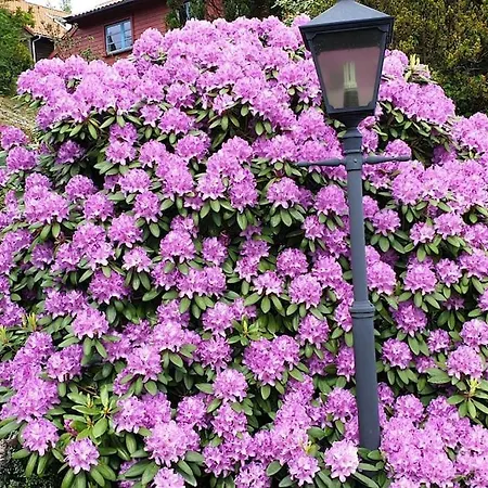 Lovely Big Unit With A Fantastic View Bergen