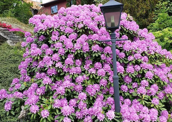 Lovely Big Unit With A Fantastic View Bergen